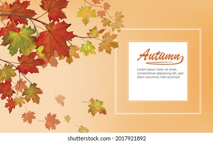 Multicolor maple leaves falling down on bright warm background of autumn