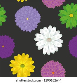 Multicolor spring meadow flowers chamomile vector flat style seamless pattern on the black background
