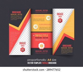 Multicolor Tri-fold Brochure Design, Catalog Vector Business Concept Template 