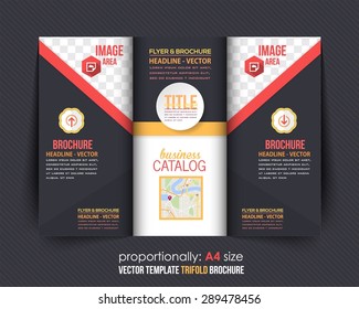 Multicolor Tri-fold Brochure Design, Catalog Vector Business Concept Template 