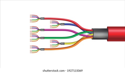 Multicolor Twisted Pair Copper Cables with shield structure. 3d Rendering Vector realistic illustration isolated on white background.