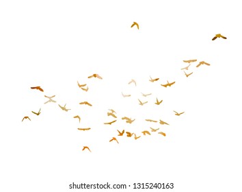 Multicolored abstract flock of birds in the sky. Vector 