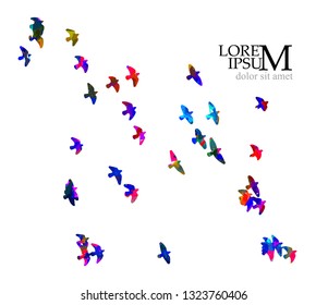 Multicolored abstract flock of birds in the sky. Vector 