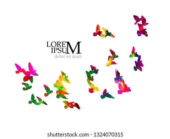 Multicolored abstract flock of birds in the sky. Vector 