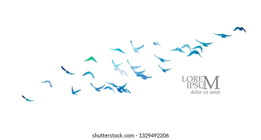 Multicolored abstract flock of birds in the sky. Vector illustra