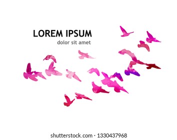 Multicolored abstract flock of birds in the sky. Vector illustra