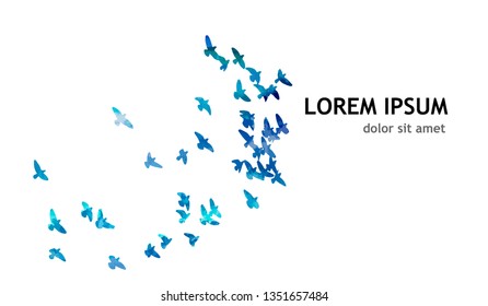 Multicolored abstract flock of birds in the sky. Vector illustra