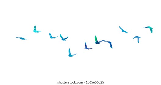 Multicolored abstract flock of birds in the sky. Vector 