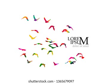 Multicolored abstract flock of birds in the sky. Vector 