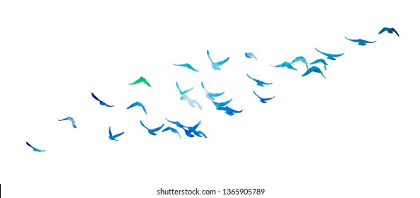 Multicolored abstract flock of birds in the sky. Vector illustra