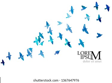 Multicolored abstract flock birds in the sky  Vector 