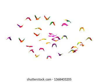 Multicolored abstract flock of birds in the sky. Vector 