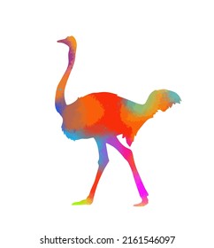 Multicolored abstract ostrich. Vector illustration
