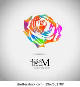 Multicolored abstract rose
