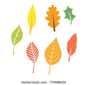 
Multicolored autumn leaves