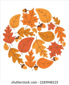 Multi-colored autumn leaves and acorns collected in a circle. Template for decoration. Seasonal background. Vector illustration design.