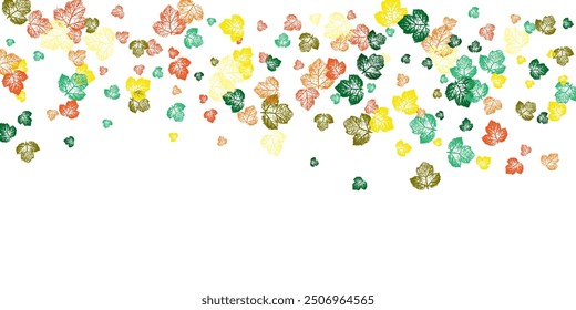 Multi-colored autumn leaves fly and levitate in space.  Autumn maple and oak leaves.