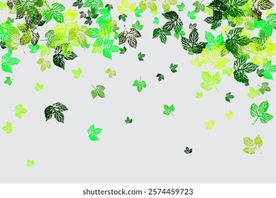 Multi-colored autumn leaves fly and levitate in space.  Autumn maple and oak leaves.