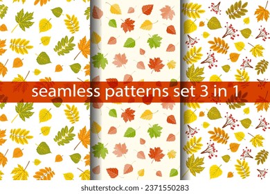 Hojas de otoño multicolores sin soldadura, conjunto de hojas de arce y abedul de otoño y rowanberry sobre fondo blanco