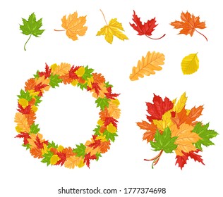 Multicolored autumn leaves, wreath and bouquet isolated on white background. Vector illustration in cartoon flat style.