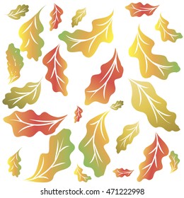Multicolored autumn oak leaves on a white background
