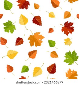Otoño multicolor sin fisuras de hojas de arce y abedul de otoño sobre un fondo blanco o transparente