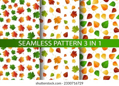 Multicolored autumn seamless pattern set 3 in 1 of autumn birch and maple leaves on a white or transparent background