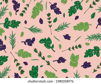 Multicolored background of basil, thyme, oregano and rosemary branches. Vector illustration.