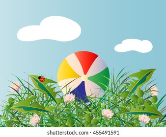 multicolored ball on the green lawn in summer day
