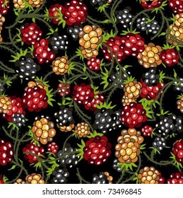 Multi-colored berries on a black background
