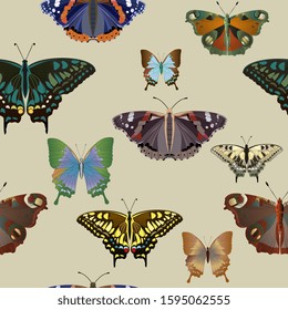 Multicolored big and small butterflies on a sage cream background seamless pattern. Vector illustration with insects. EPS10