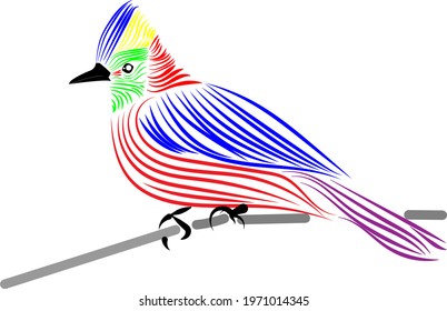Multicolored bird line drawing perched on a wooden stick on isolated white background.
