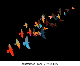 Multi-colored birds. A flock of colorful birds at night. On a black background. . Vector illustration