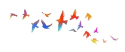 Multi-colored Birds. A Flock Of Flying Rainbow Birds. Vector Illustration