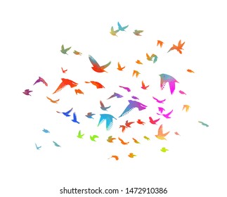 Multicolored Birds Flock Flying Rainbow Birds Stock Vector (Royalty ...