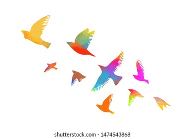 5,984 Flying bird rainbow Images, Stock Photos & Vectors | Shutterstock