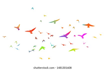 Multi-colored birds. A flock of flying rainbow birds. Vector illustration