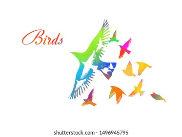 Multi-colored birds. A flock of flying rainbow birds. Vector illustration