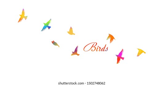 Multi-colored birds. A flock of flying rainbow birds. Vector illustration