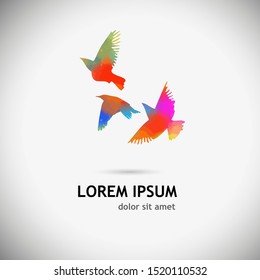 Multi-colored birds. A flock of flying rainbow birds. Vector illustration