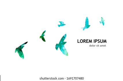 Multi-colored birds. A flock of flying rainbow birds. A lot of soaring birds. Mixed media. Vector illustration