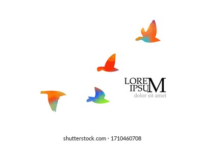 Multi-colored birds. A flock of flying rainbow birds. A lot of soaring birds. Mixed media. Vector illustration