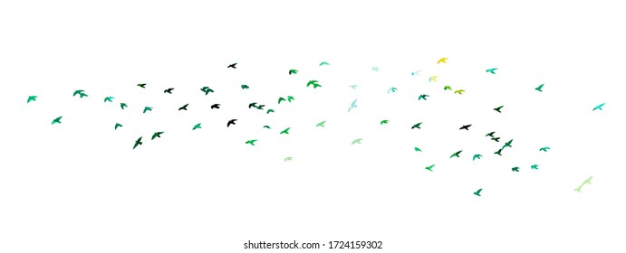 Pájaros multicolores. Un rebaño de aves arcoiris voladoras. Un montón de pájaros en llamas. Medios mixtos. Ilustración del vector