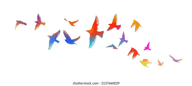 Multi-colored birds. A flock of flying rainbow birds. Vector illustration