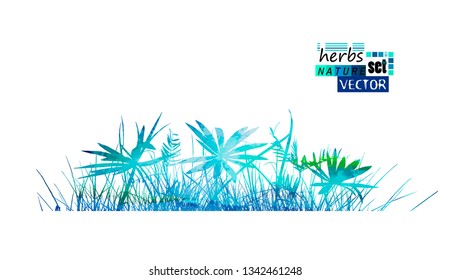 Multicolored blue abstraction grass