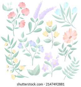 mehrfarbige Zweige von Pflanzen und Blumen
