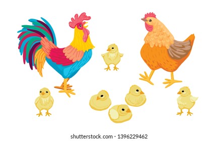 A multicolored bright rooster crows, a brown hen walks with chickens, birds sit and sleep, a family walk, farm birds, village animals. Children's illustration. Cartoon flat style illustration.