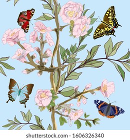 Multicolored butterflies with bushes pink roses on light blue background seamless pattern. Vector illustration with insects and plants. EPS 10