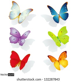Multicolored butterflies collection - Vector Eps 8 file