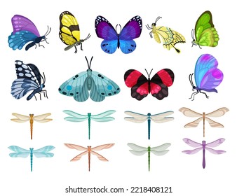 Multicolored Butterflies and Dragonfly with Wings as Flying Insect Big Vector Set